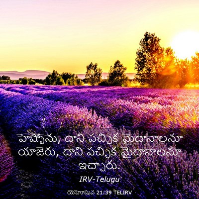 Picture 03 - యెహోషువ 21:39 TELIRV - హెష్బోను, దాని - Bible Verse Picture