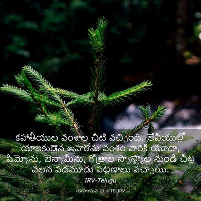 Picture 03 - యెహోషువ 21:4 TELIRV - కహాతీయుల వంశాల - Bible Verse Picture