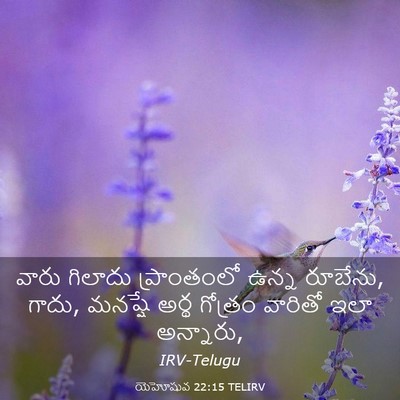 Picture 03 - యెహోషువ 22:15 TELIRV - వారు గిలాదు - Bible Verse Picture