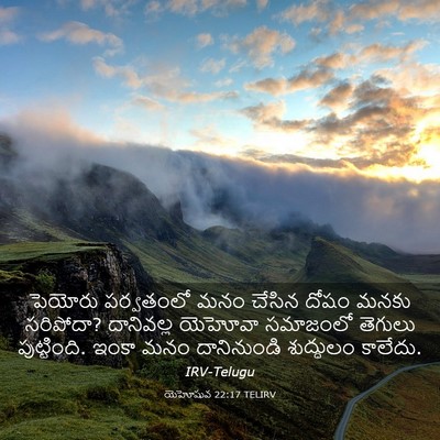 Picture 03 - యెహోషువ 22:17 TELIRV - పెయోరు పర్వతంలో - Bible Verse Picture