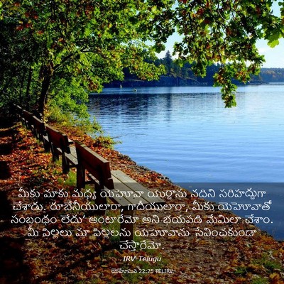 Picture 03 - యెహోషువ 22:25 TELIRV - మీకు మాకు మధ్య - Bible Verse Picture