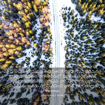 Picture 03 - యెహోషువ 22:7 TELIRV - మోషే బాషానులో - Bible Verse Picture