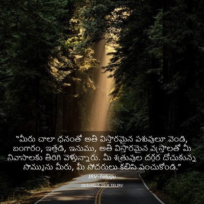 Picture 03 - యెహోషువ 22:8 TELIRV - “మీరు చాలా ధనంతో - Bible Verse Picture