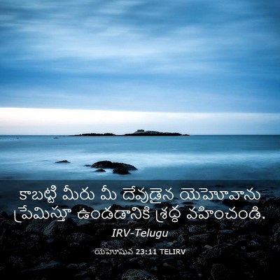 Picture 03 - యెహోషువ 23:11 TELIRV - కాబట్టి మీరు మీ - Bible Verse Picture