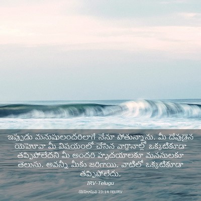 Picture 03 - యెహోషువ 23:14 TELIRV - ఇప్పుడు - Bible Verse Picture