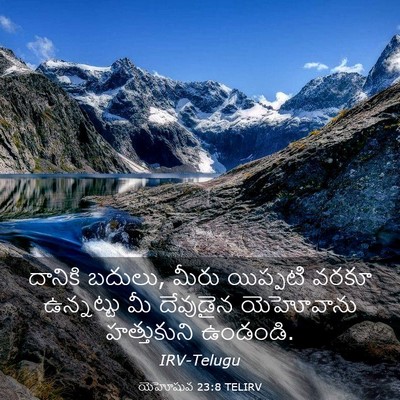 Picture 03 - యెహోషువ 23:8 TELIRV - దానికి బదులు, మీరు - Bible Verse Picture