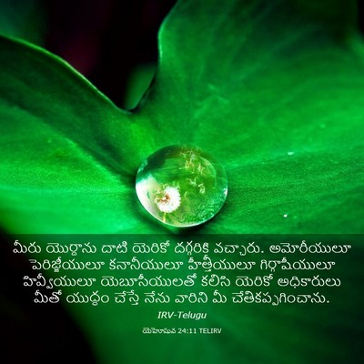 Picture 03 - యెహోషువ 24:11 TELIRV - మీరు యొర్దాను - Bible Verse Picture