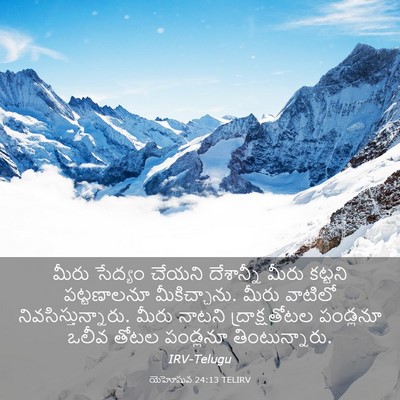 Picture 03 - యెహోషువ 24:13 TELIRV - మీరు సేద్యం చేయని - Bible Verse Picture