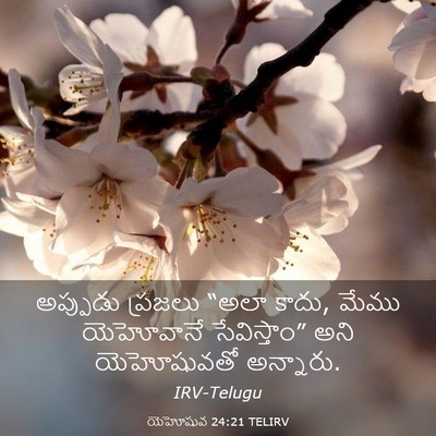Picture 03 - యెహోషువ 24:21 TELIRV - అప్పుడు ప్రజలు - Bible Verse Picture