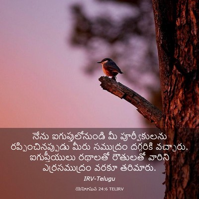 Picture 03 - యెహోషువ 24:6 TELIRV - నేను - Bible Verse Picture