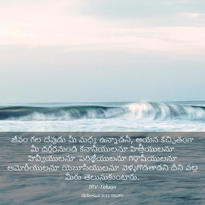 Picture 03 - యెహోషువ 3:11 TELIRV - జీవం గల దేవుడు మీ - Bible Verse Picture