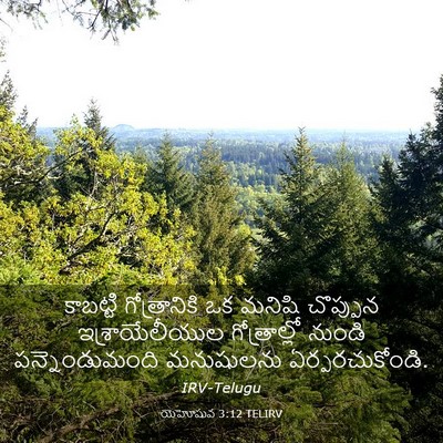 Picture 03 - యెహోషువ 3:12 TELIRV - కాబట్టి - Bible Verse Picture