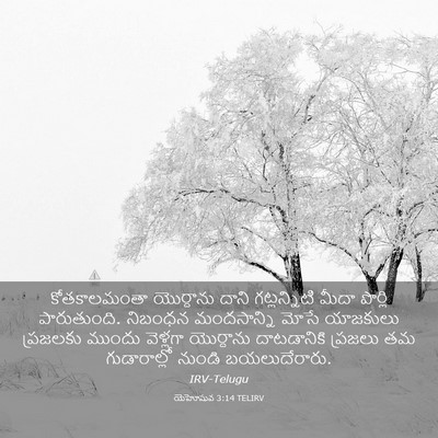 Picture 03 - యెహోషువ 3:14 TELIRV - కోతకాలమంతా - Bible Verse Picture