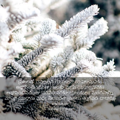 Picture 03 - యెహోషువ 4:10 TELIRV - ప్రజలతో చెప్పాలని - Bible Verse Picture