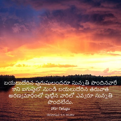 Picture 03 - యెహోషువ 5:5 TELIRV - బయలుదేరిన - Bible Verse Picture