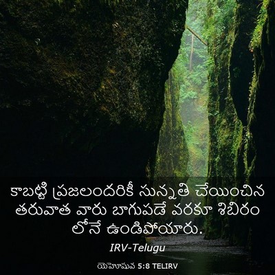 Picture 03 - యెహోషువ 5:8 TELIRV - కాబట్టి - Bible Verse Picture