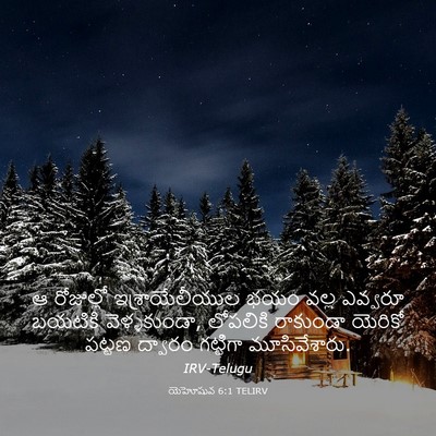 Picture 03 - యెహోషువ 6:1 TELIRV - ఆ రోజుల్లో - Bible Verse Picture