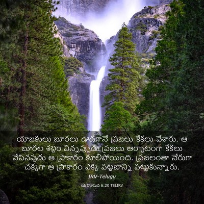 Picture 03 - యెహోషువ 6:20 TELIRV - యాజకులు బూరలు - Bible Verse Picture