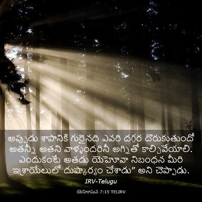 Picture 03 - యెహోషువ 7:15 TELIRV - అప్పుడు శాపానికి - Bible Verse Picture