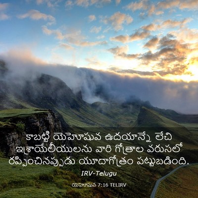 Picture 03 - యెహోషువ 7:16 TELIRV - కాబట్టి యెహోషువ - Bible Verse Picture