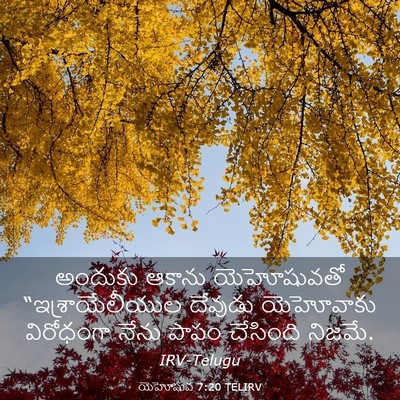 Picture 03 - యెహోషువ 7:20 TELIRV - అందుకు ఆకాను - Bible Verse Picture