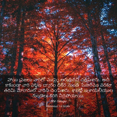 Picture 03 - యెహోషువ 7:5 TELIRV - హాయి ప్రజలు - Bible Verse Picture