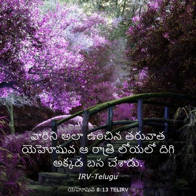Picture 03 - యెహోషువ 8:13 TELIRV - వారిని అలా ఉంచిన - Bible Verse Picture