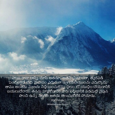 Picture 03 - యెహోషువ 8:14 TELIRV - హాయి రాజు దాన్ని - Bible Verse Picture