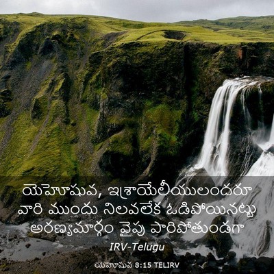 Picture 03 - యెహోషువ 8:15 TELIRV - యెహోషువ, - Bible Verse Picture