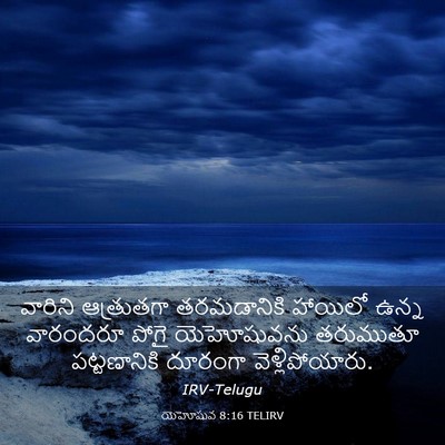 Picture 03 - యెహోషువ 8:16 TELIRV - వారిని ఆత్రుతగా - Bible Verse Picture