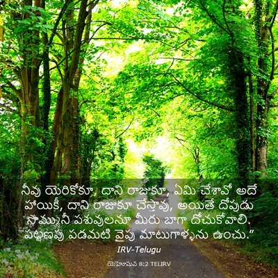 Picture 03 - యెహోషువ 8:2 TELIRV - నీవు యెరికోకూ, - Bible Verse Picture