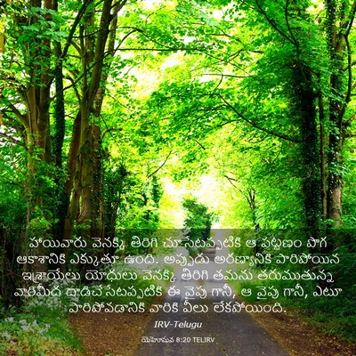 Picture 03 - యెహోషువ 8:20 TELIRV - హాయివారు వెనక్కి - Bible Verse Picture