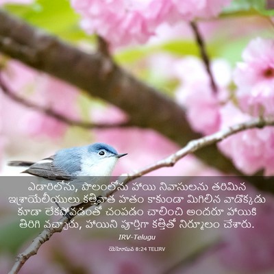 Picture 03 - యెహోషువ 8:24 TELIRV - ఎడారిలోను, - Bible Verse Picture
