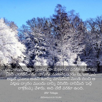 Picture 03 - యెహోషువ 8:29 TELIRV - యెహోషువ హాయి - Bible Verse Picture