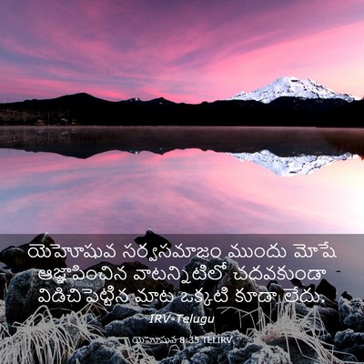 Picture 03 - యెహోషువ 8:35 TELIRV - యెహోషువ సర్వసమాజం - Bible Verse Picture
