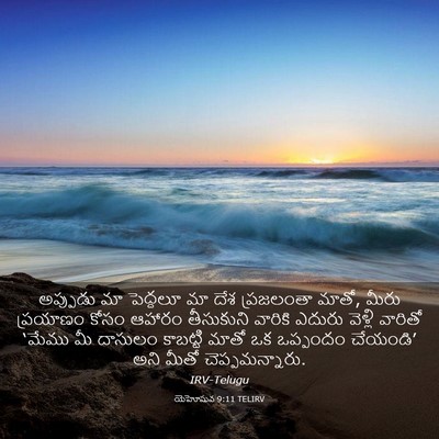 Picture 03 - యెహోషువ 9:11 TELIRV - అప్పుడు మా - Bible Verse Picture
