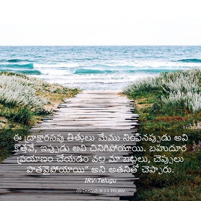 Picture 03 - యెహోషువ 9:13 TELIRV - ఈ ద్రాక్షారసపు - Bible Verse Picture