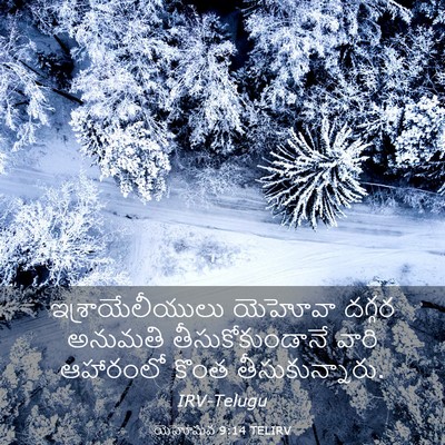 Picture 03 - యెహోషువ 9:14 TELIRV - ఇశ్రాయేలీయులు - Bible Verse Picture