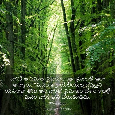 Picture 03 - యెహోషువ 9:19 TELIRV - దానికి ఆ సమాజ - Bible Verse Picture