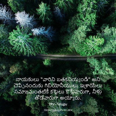 Picture 03 - యెహోషువ 9:21 TELIRV - నాయకులు “వారిని - Bible Verse Picture