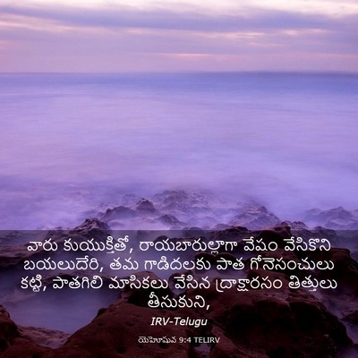 Picture 03 - యెహోషువ 9:4 TELIRV - వారు కుయుక్తితో, - Bible Verse Picture