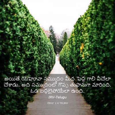 Picture 03 - యోనా 1:4 TELIRV - అయితే యెహోవా - Bible Verse Picture