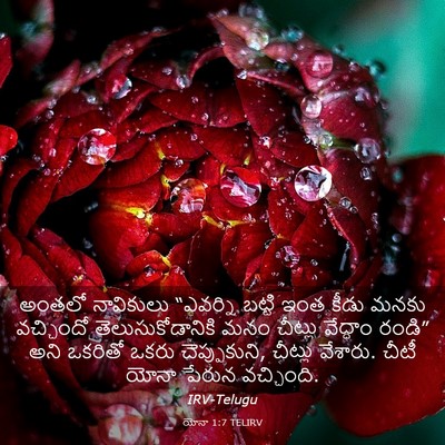 Picture 03 - యోనా 1:7 TELIRV - అంతలో నావికులు - Bible Verse Picture