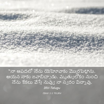 Picture 03 - యోనా 2:2 TELIRV - “నా ఆపదలో నేను - Bible Verse Picture