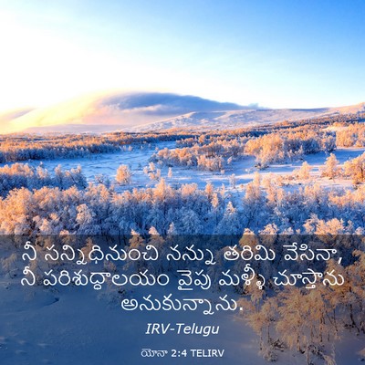 Picture 03 - యోనా 2:4 TELIRV - నీ సన్నిధినుంచి - Bible Verse Picture