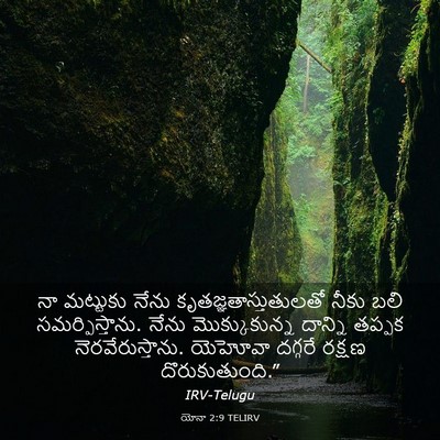Picture 03 - యోనా 2:9 TELIRV - నా మట్టుకు నేను - Bible Verse Picture