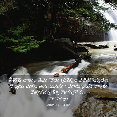 Picture 03 - యోనా 3:10 TELIRV - నీనెవె వాళ్ళు తమ - Bible Verse Picture