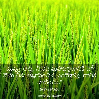 Picture 03 - యోనా 3:2 TELIRV - “నువ్వు లేచి, - Bible Verse Picture
