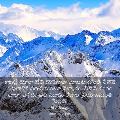 Picture 03 - యోనా 3:3 TELIRV - కాబట్టి యోనా లేచి - Bible Verse Picture