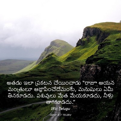 Picture 03 - యోనా 3:7 TELIRV - అతడు ఇలా ప్రకటన - Bible Verse Picture